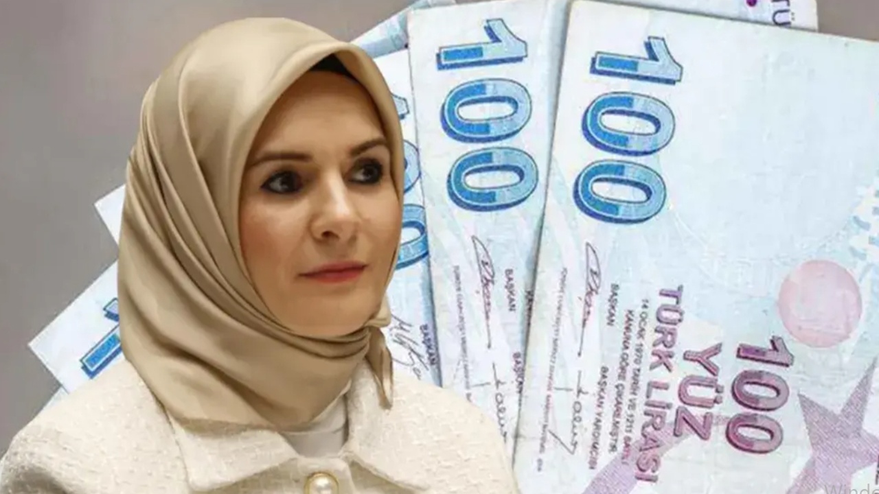 24 Bin TL Geri Ödemesiz Nakit Destek! e-Devlet Başvuru Ekranı Açıldı